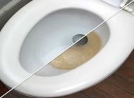Thông bồn cầu bằng bột giặt có hiệu quả không?