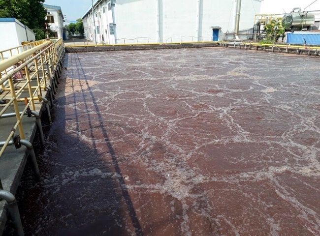 Dịch vụ vận chuyển bùn vi sinh An Giang có giá cả ưu đãi