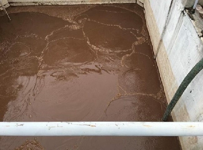 Công ty vận chuyển bùn vi sinh Đồng Nai uy tín