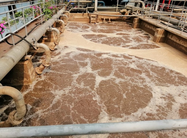 C&ocirc;ng ty cung cấp vận chuyển b&ugrave;n vi sinh quận 3 được đ&aacute;nh gi&aacute; cao