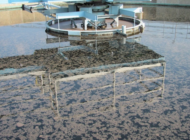 Vận chuyển b&ugrave;n vi sinh quận 3 bảo h&agrave;nh d&agrave;i l&acirc;u